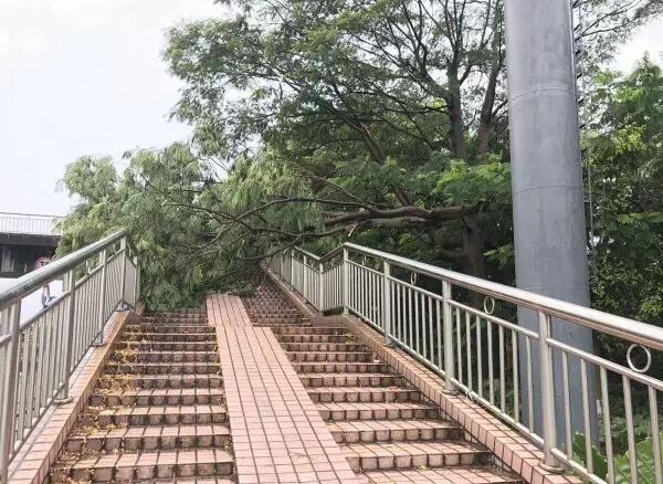 “天鴿”登陸了又怎樣，智彤印刷正常發(fā)放福利！